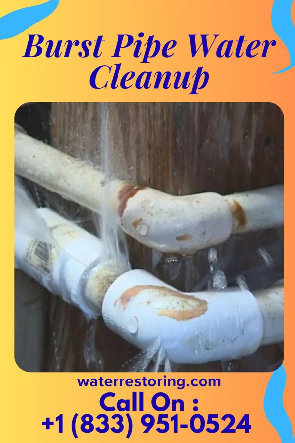 Burst Pipe Water Cleanup in Muttontown, NY