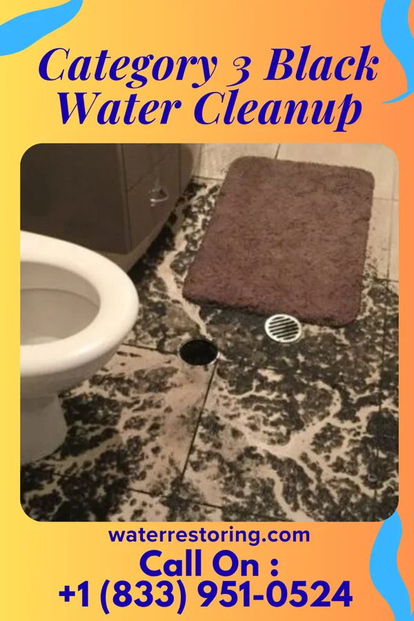 Category 3 Black Water Cleanup in Muttontown, NY