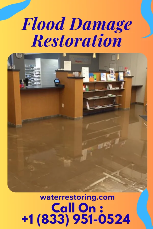Flood Damage Restoration in Muttontown, NY