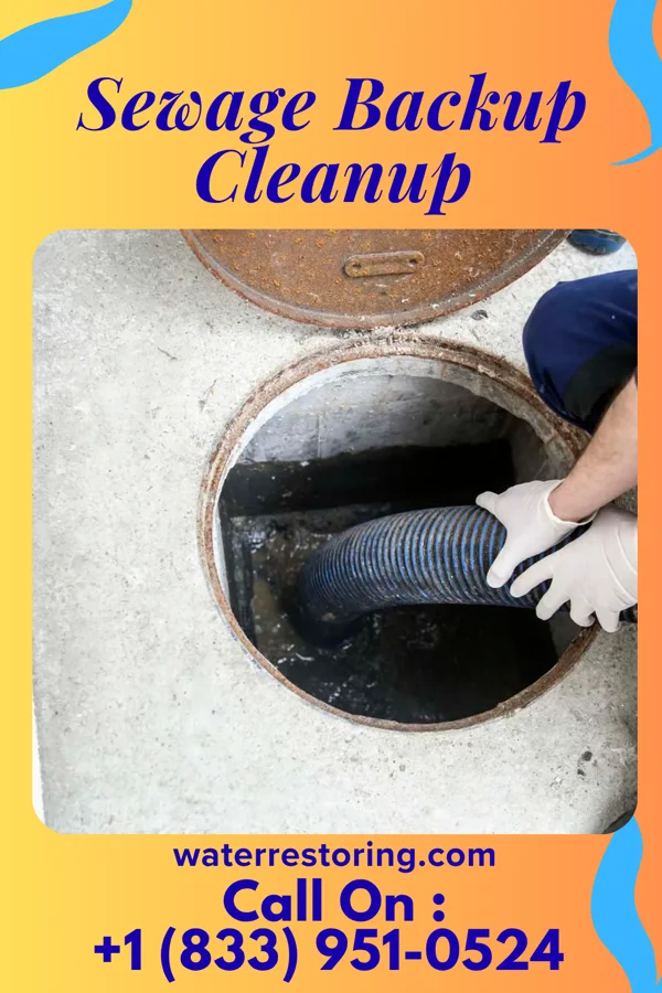 Sewage Backup Cleanup in Muttontown, NY