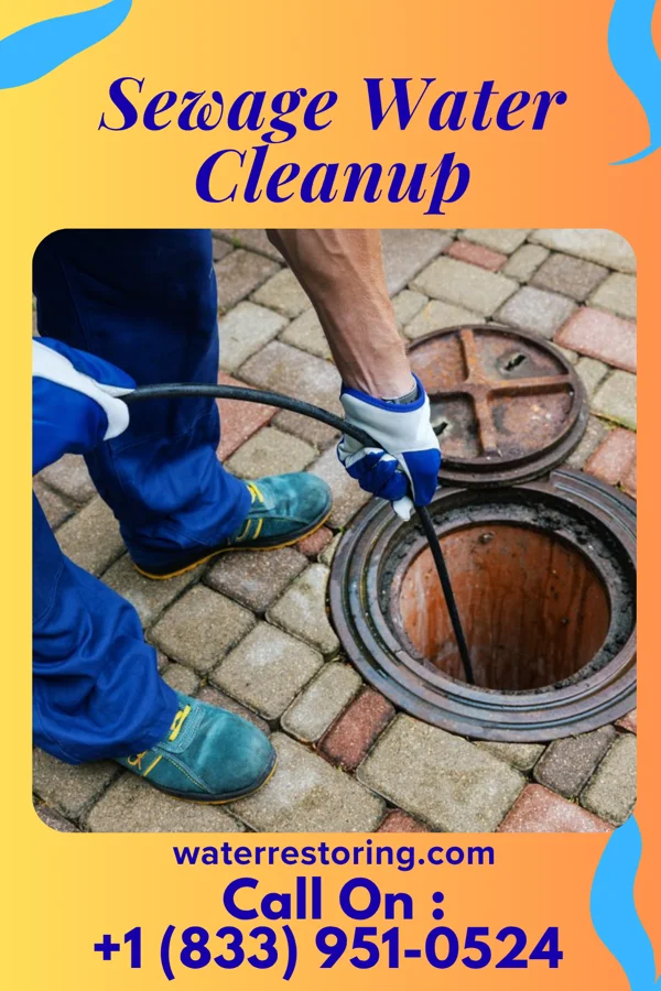 Sewage Water Cleanup in Muttontown, NY