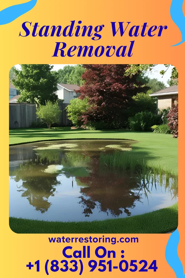 Standing Water Removal in Muttontown, NY
